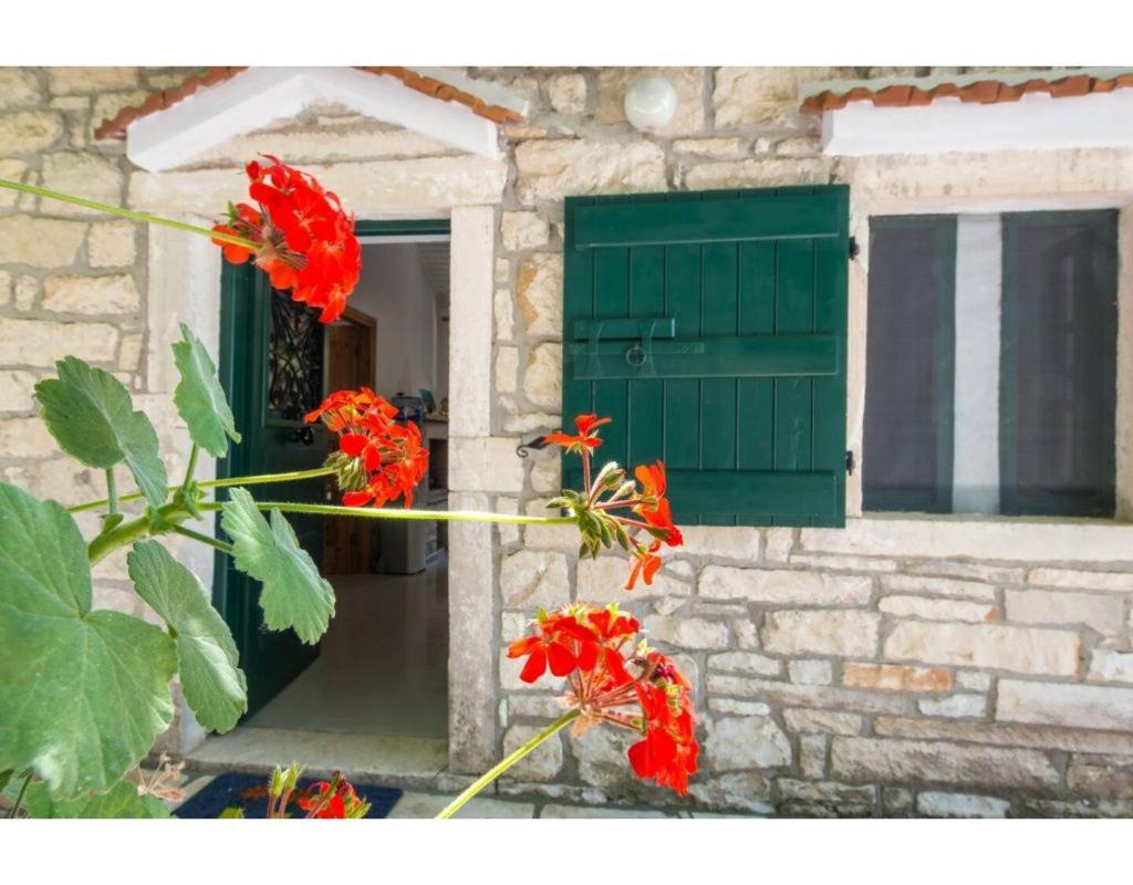 Villa Phoenix Gaios Exterior foto